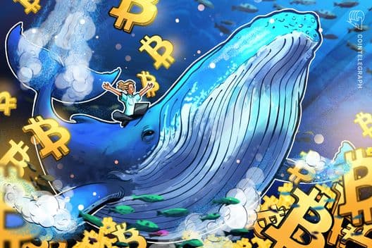 Bitcoin Whales Accumulate: Is an $80K Surge Imminent?