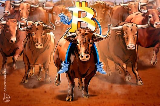 Bitcoin Approaches $82K: Can the Rally Hold Amid Market Challenges?