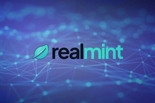 Unlocking RWAs: Realmint's Smart Platform for Retail Investors