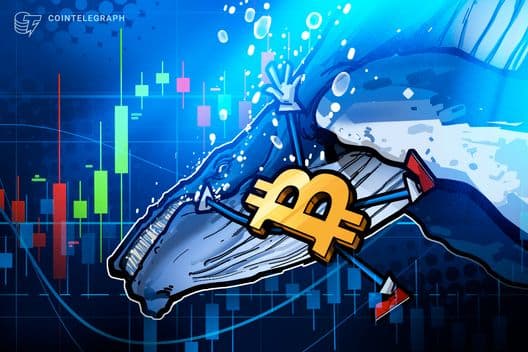 Bitcoin Whales Face $13M Losses: Bull Market on the Horizon?