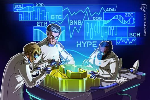 Bitcoin Rally: Predicting Future Trends in Altcoins and Beyond