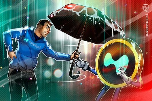 HYPE's Market Rally: Analyzing the Risk of a Major Pullback