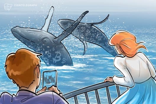 Bitcoin Whales Accumulate 61K BTC Amid Global Uncertainty