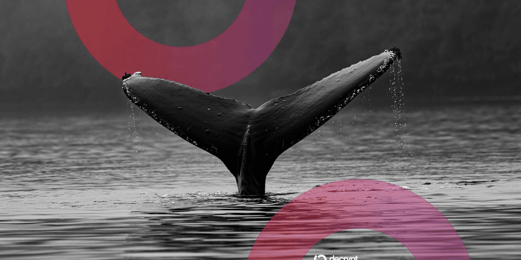 What the Ethereum ICO Whale's Move Means for the Market