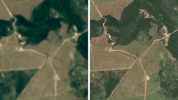 Google's Satellite Imagery Initiative: A New Era for Brazil's Forests